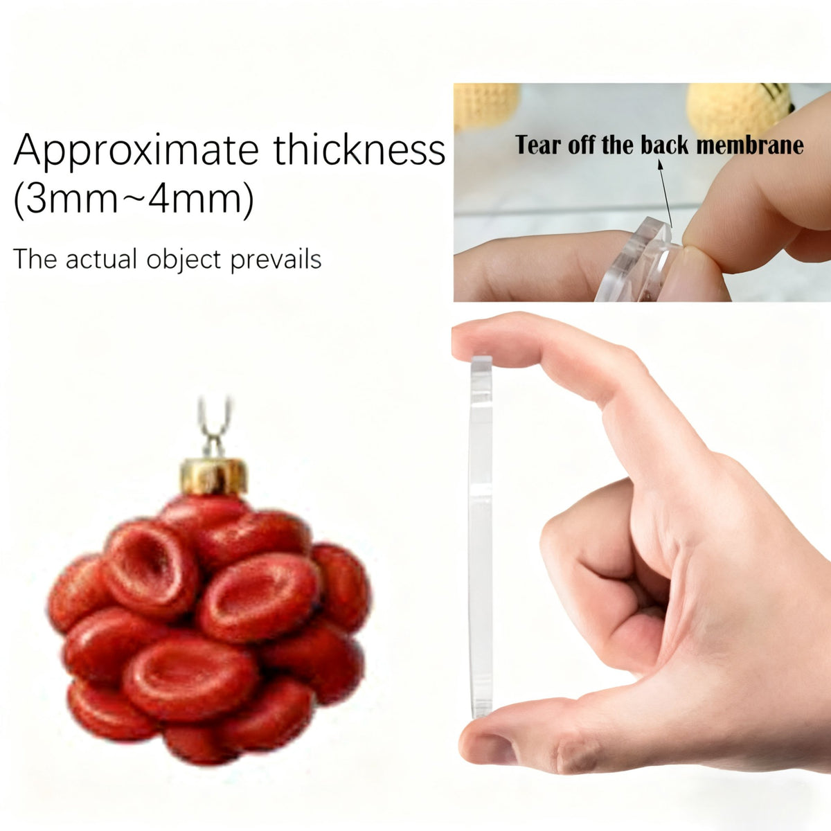 🔥Limited Edition, Only 100 Sets Left! - 2025 Anatomy Advent Calendar