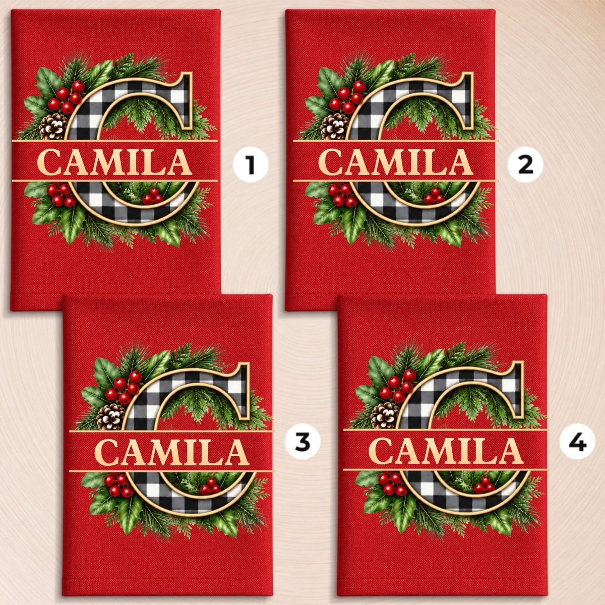 载体