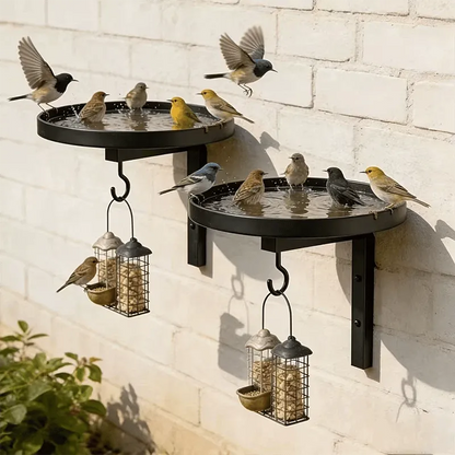 Wall-Mounted Metal Bird Bath – Antique Bronze Finish