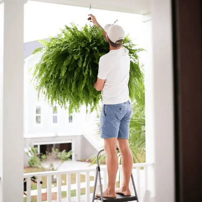 🔥On Sale Only Today 🌱  UV-Resistant Lifelike Artificial Boston Fern
