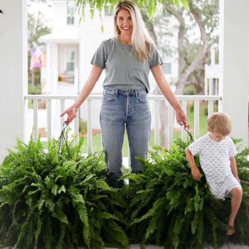 🔥On Sale Only Today 🌱  UV-Resistant Lifelike Artificial Boston Fern